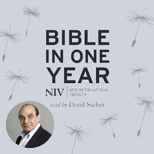 Advertisement for Bible in one Year<br>Audio Book