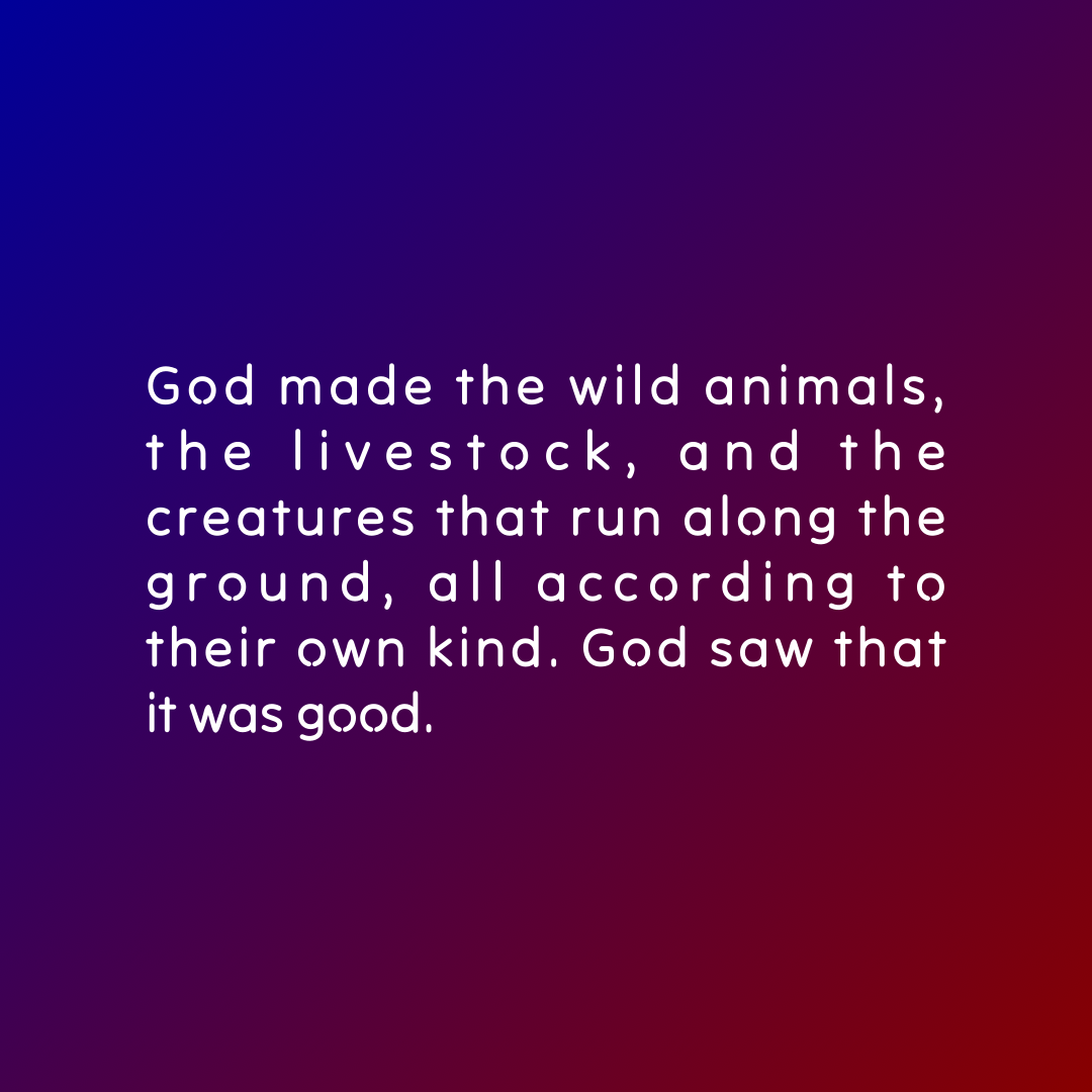 Verse of the Day Image for 2025-11-05. Scripture reference Genesis 1: 25