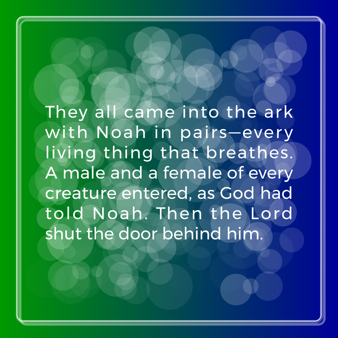 Verse of the Day Image for 2025-11-13. Scripture reference Genesis 7: 15-16