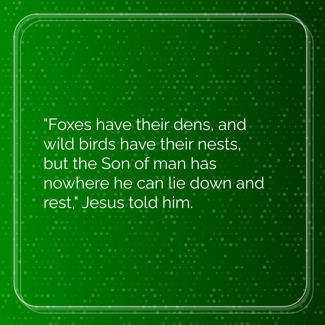 Verse of the Day Image for 2026-01-28. Scripture reference Matthew 8: 20