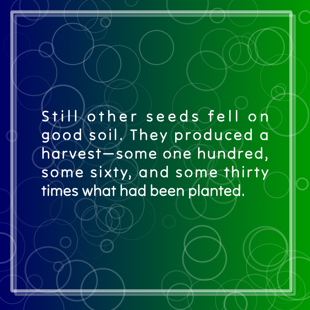 Verse of the Day Image for 2026-02-19. Scripture reference Matthew 13: 8