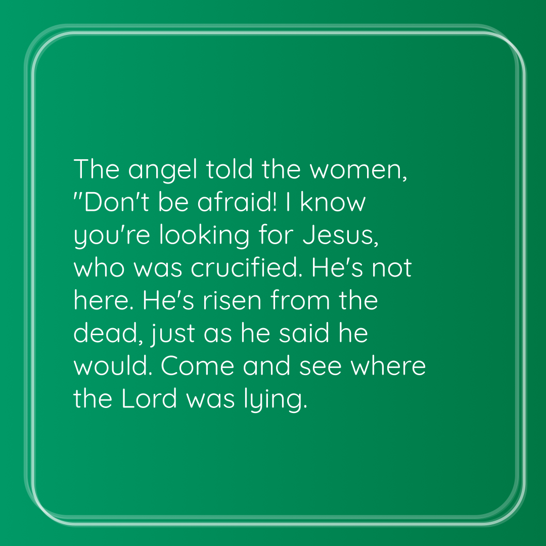 Verse of the Day Image for 2026-05-30. Scripture reference Matthew 28: 5-6