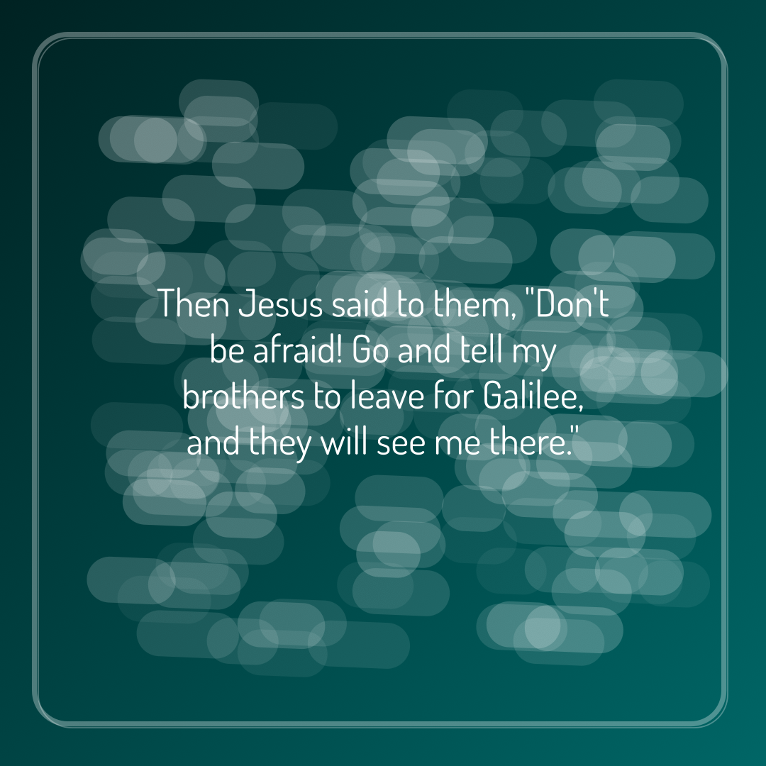 Verse of the Day Image for 2026-05-31. Scripture reference Matthew 28: 10