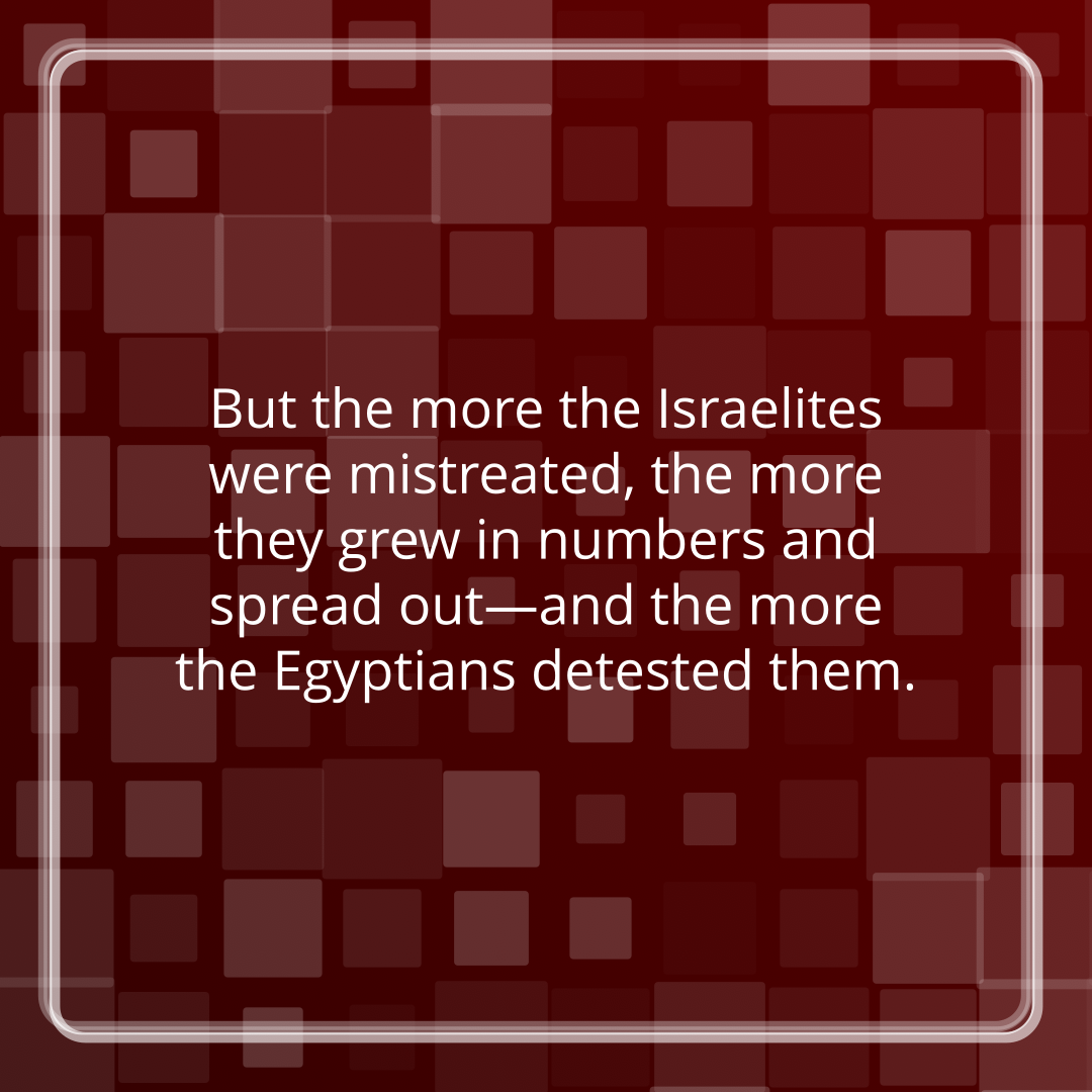 Verse of the Day Image for 2026-06-04. Scripture reference Exodus 1: 12
