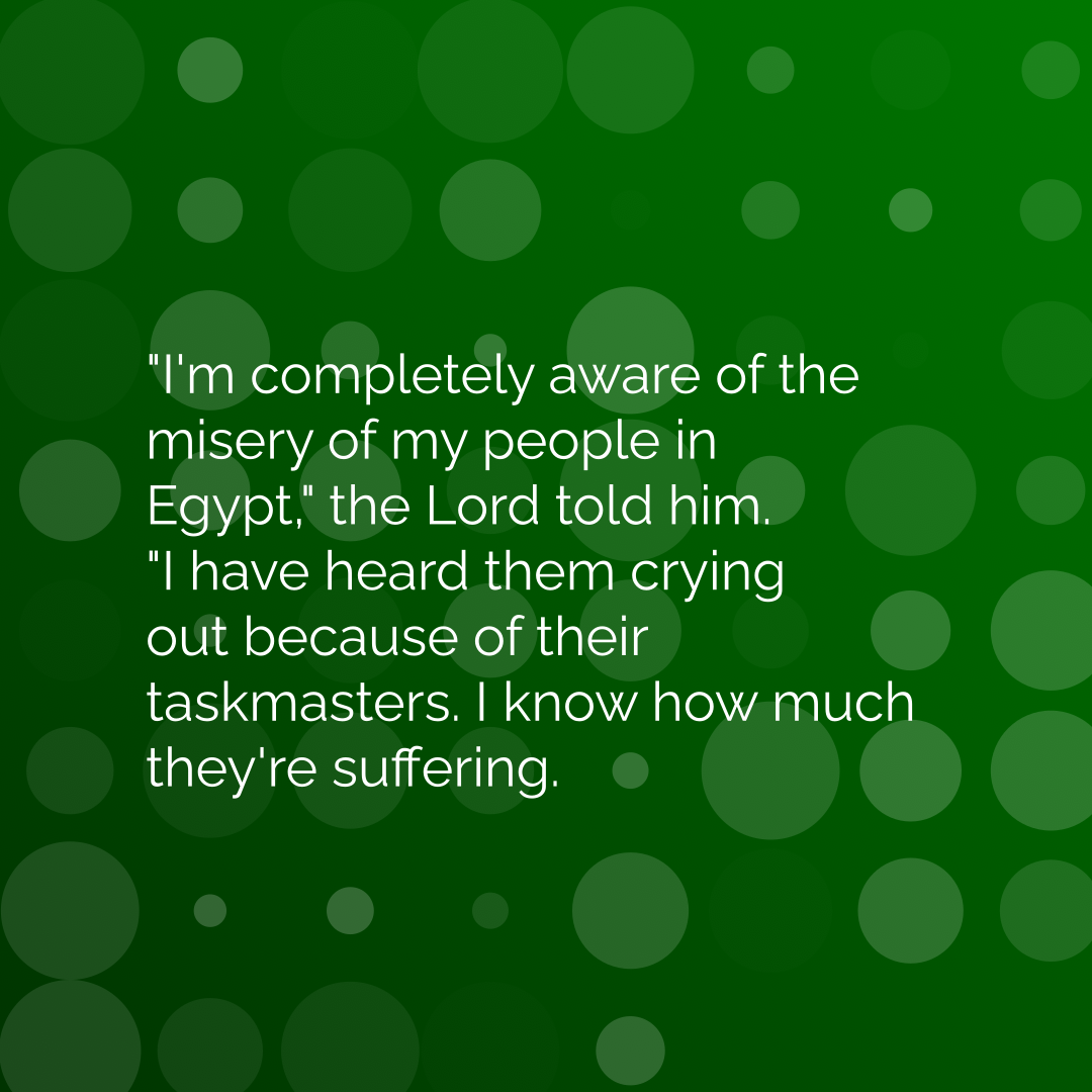 Verse of the Day Image for 2026-06-14. Scripture reference Exodus 3: 7