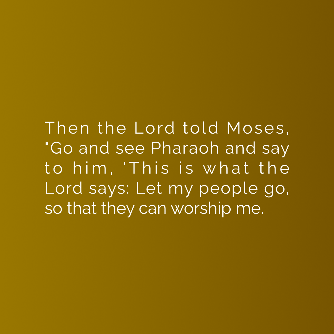 Verse of the Day Image for 2026-07-03. Scripture reference Exodus 8: 1