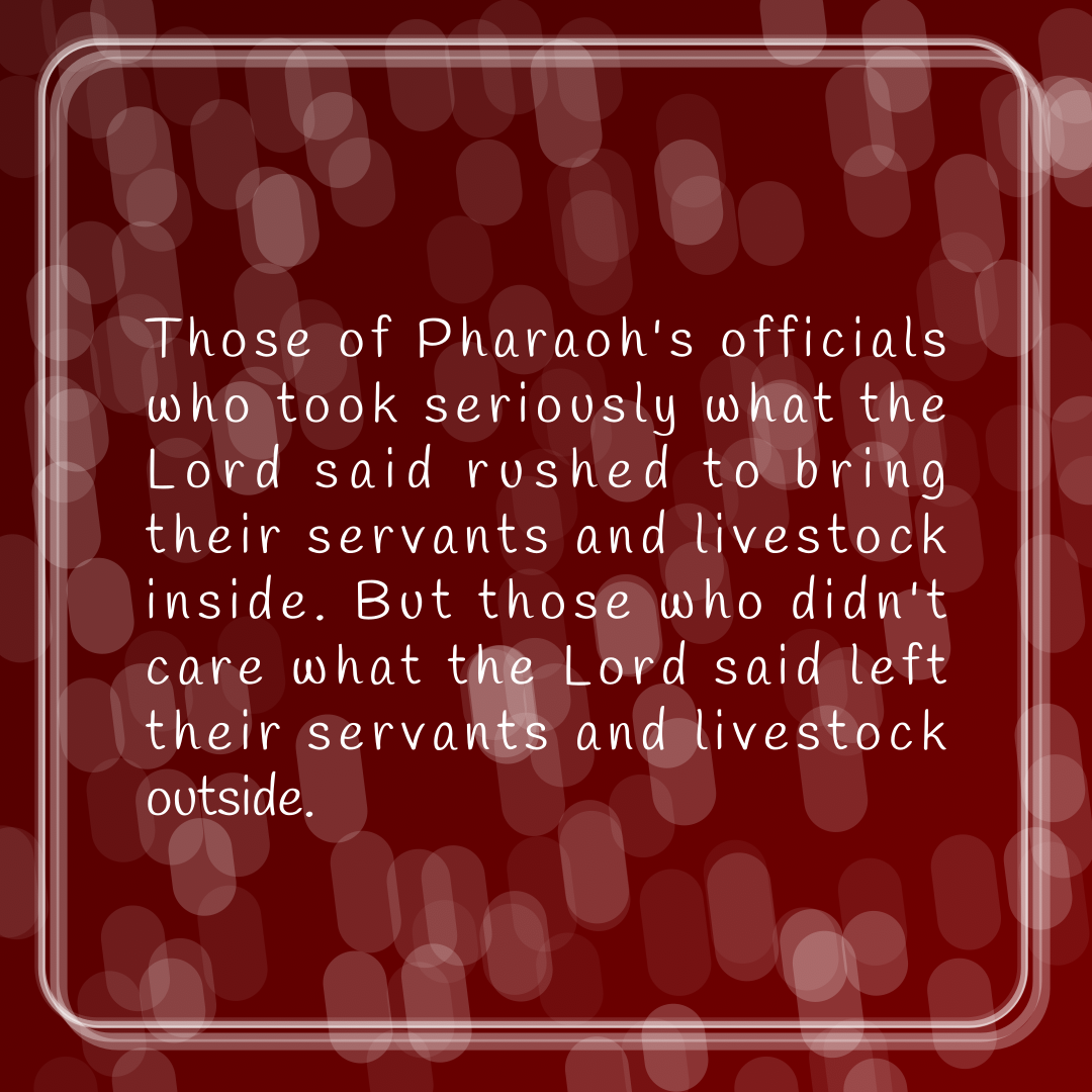 Verse of the Day Image for 2026-07-08. Scripture reference Exodus 9: 20-21
