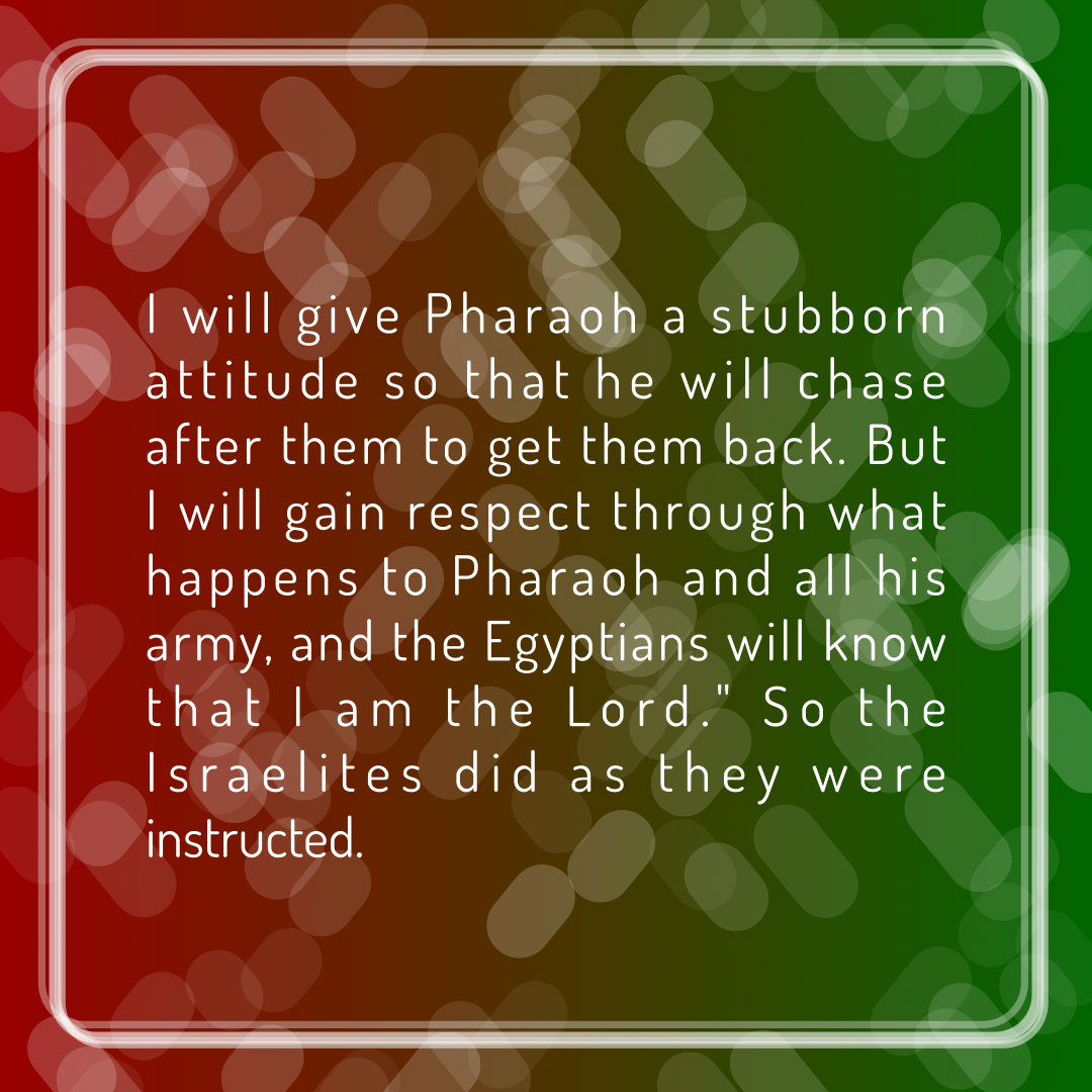 Verse of the Day Image for 2026-07-16. Scripture reference Exodus 14: 4