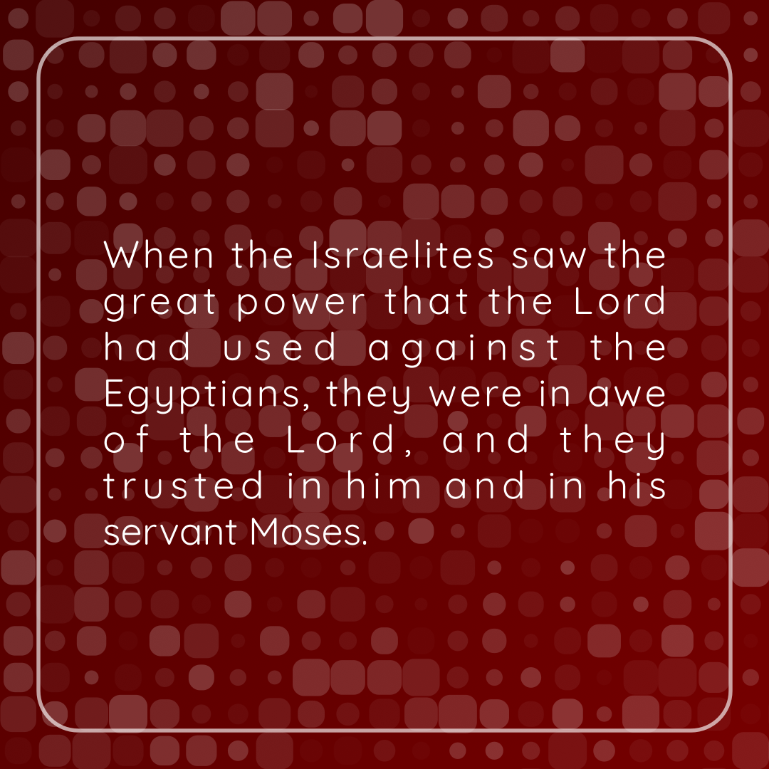 Verse of the Day Image for 2026-07-19. Scripture reference Exodus 14: 31