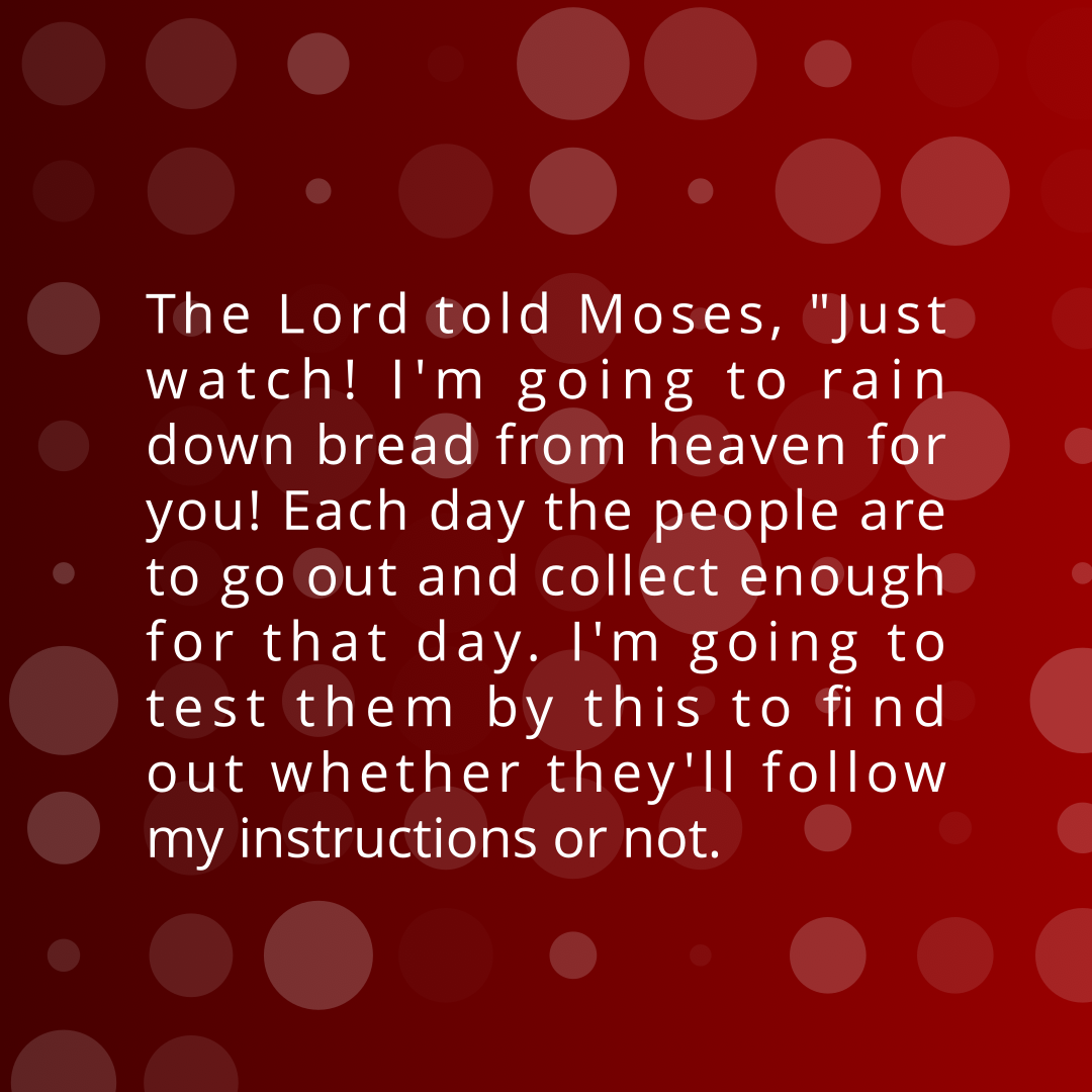 Verse of the Day Image for 2026-07-23. Scripture reference Exodus 16: 4