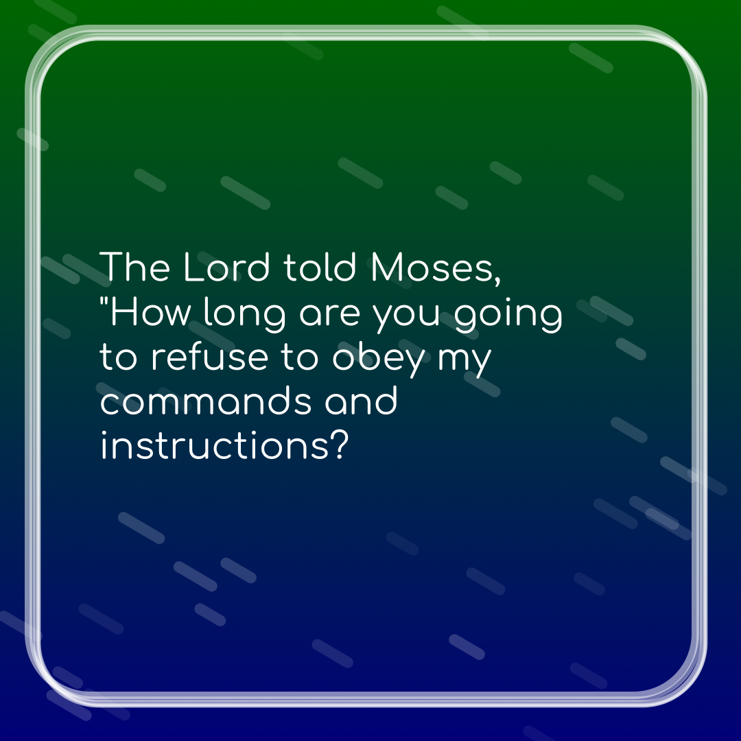 Verse of the Day Image for 2026-07-24. Scripture reference Exodus 16: 28