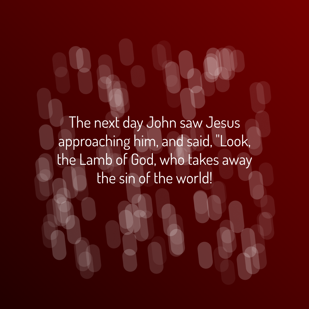 Verse of the Day Image for 2026-08-05. Scripture reference John 1: 29