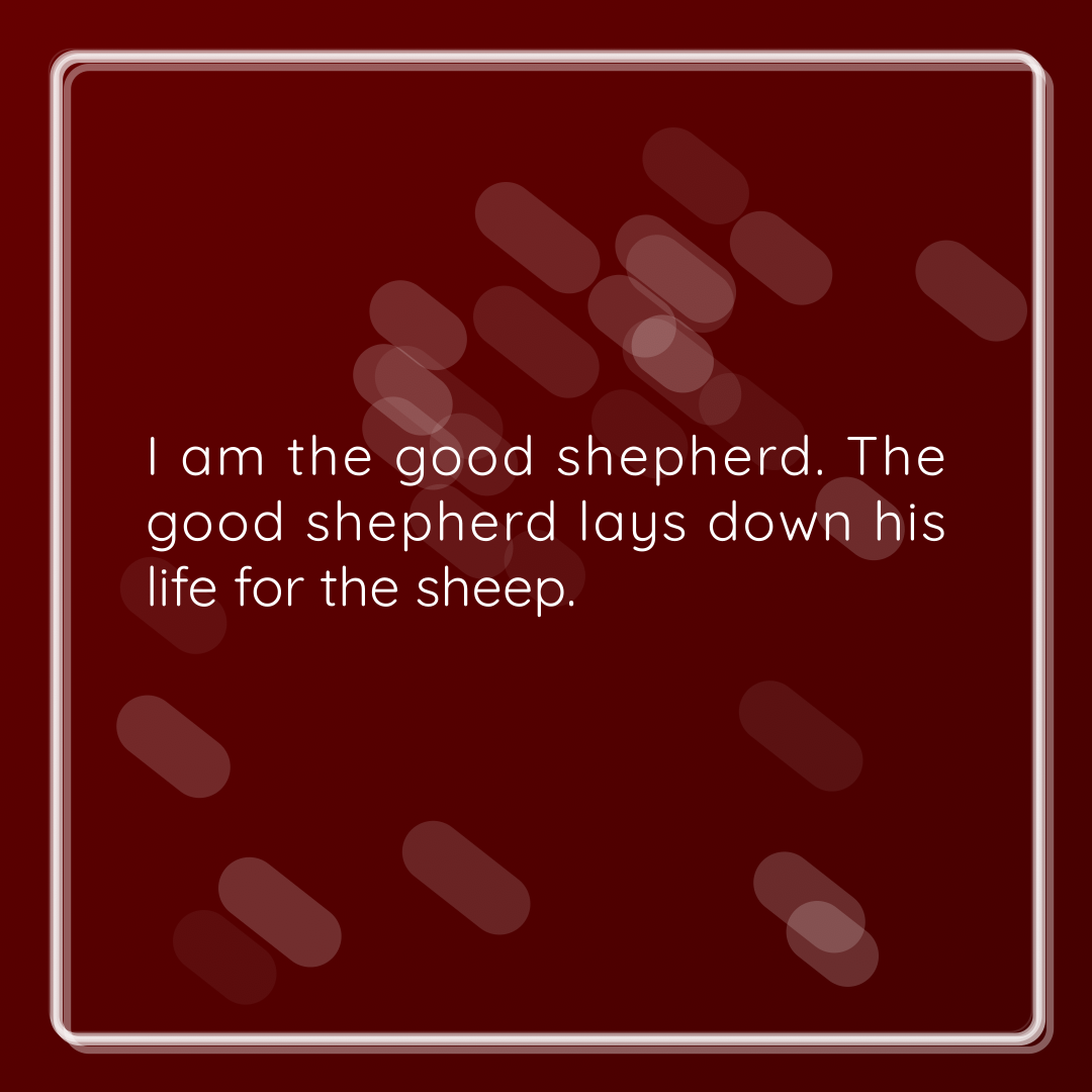 Verse of the Day Image for 2026-10-07. Scripture reference John 10: 11