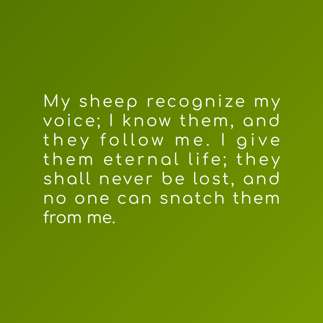 Verse of the Day Image for 2026-10-10. Scripture reference John 10: 27-28
